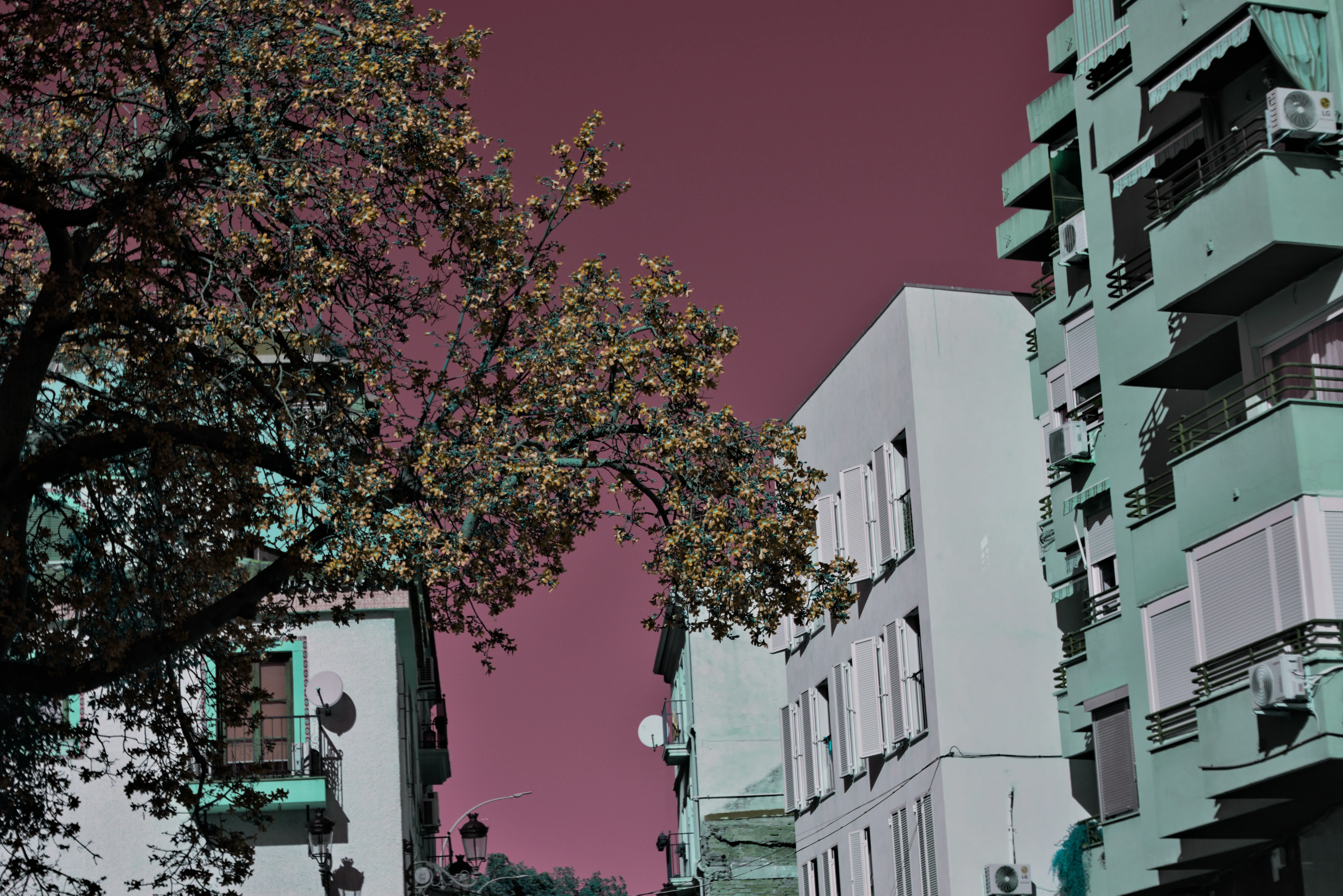 Industar-50-2 50mm f3.5 (M42) - _I4A0907.webp